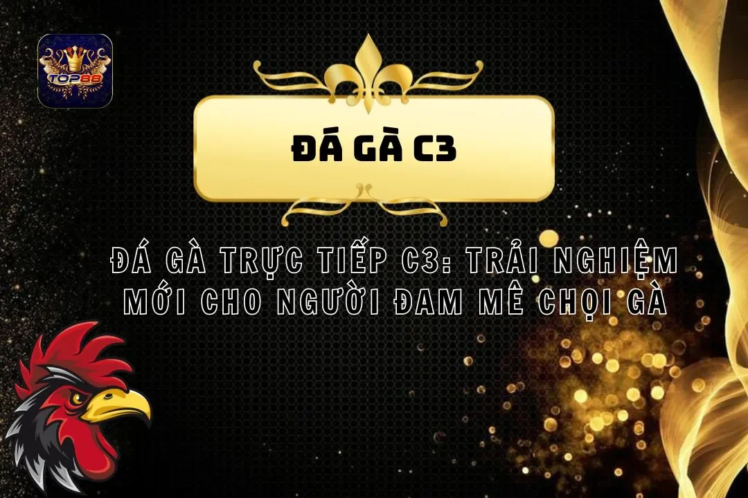 Đá Gà Trực Tiếp C3: Trải Nghiệm Mới Cho Người Đam Mê Chọi Gà