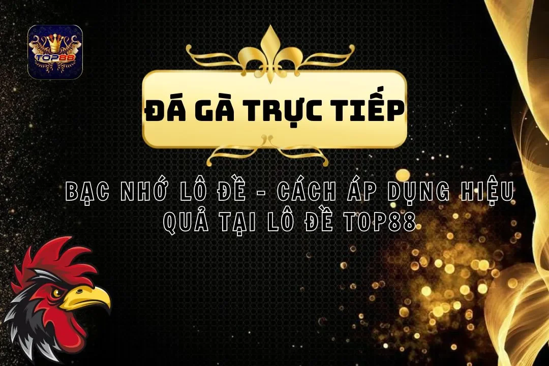 Đá Gà Trực Tiếp - Sân Chơi Chọi Gà Hot Nhất Tại Top88